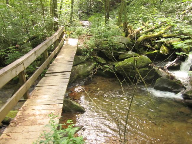 There are several foot-bridges across Kimsey Creek.