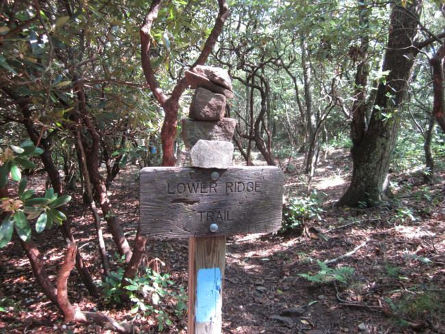 When you see the Lower Ridge Trail sign, on the left, turn right to take the short side trail to the summit of Standing Indian.