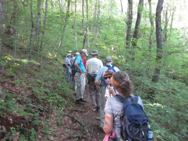 Another great day for a hike on the Appalachian Trail!