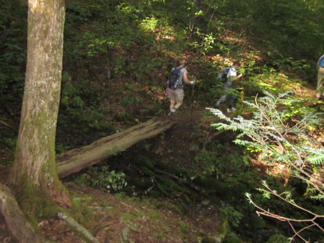 Here, we cross an old split log foot-bridge.