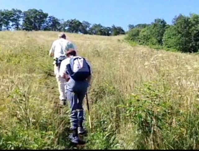 We head up the long grassy slope to the summit of Siler Bald. (a side trail off of the A.T.)
