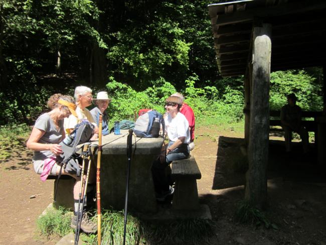 Lunchtime at the Siler Bald shelter!