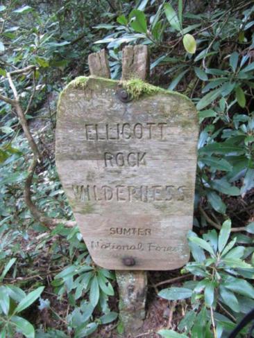 Wilderness area