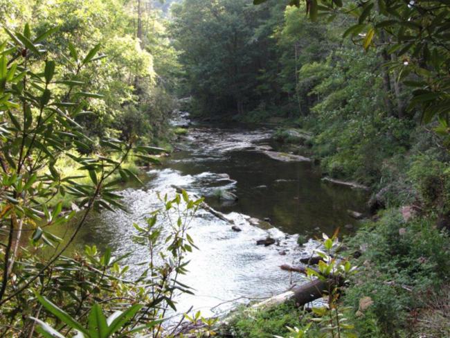 Lots of nice river views.