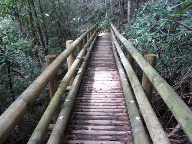 "The Forty Thousand Dollar Bridge!" Across the East Fork Chattooga River.