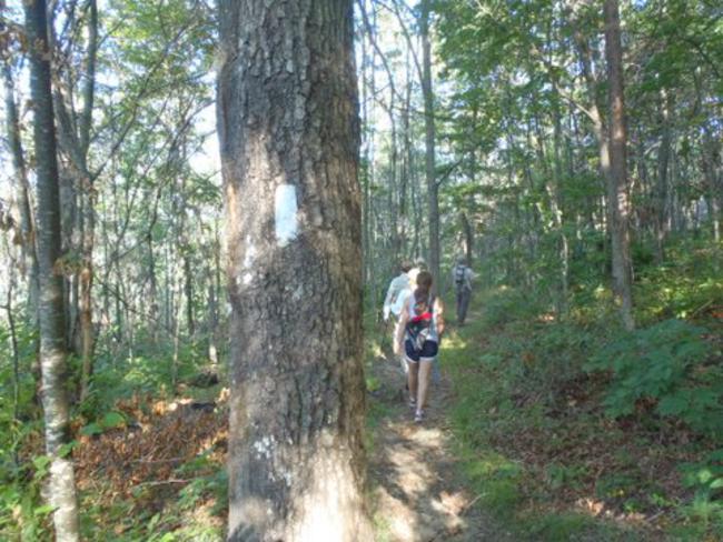 Another great day for a hike on the Appalachian Trail!