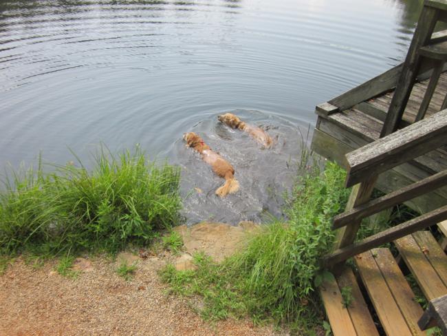 Ty and Jessie decide to take a swim.