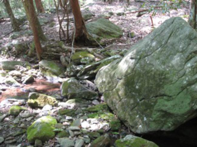Rocks and boulders are abundant on this trail.