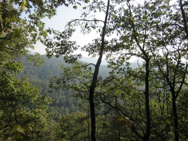 There are several mountain views through the trees.