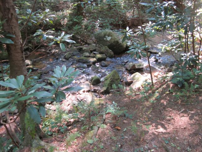Several creeks along the way.