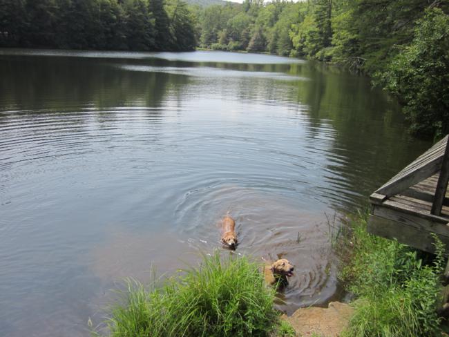 We return back to the lake and Ty and Jessie cool off.