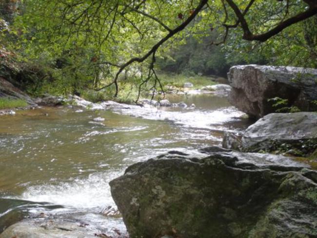 The trail follows closely along beautiful Panther Creek.