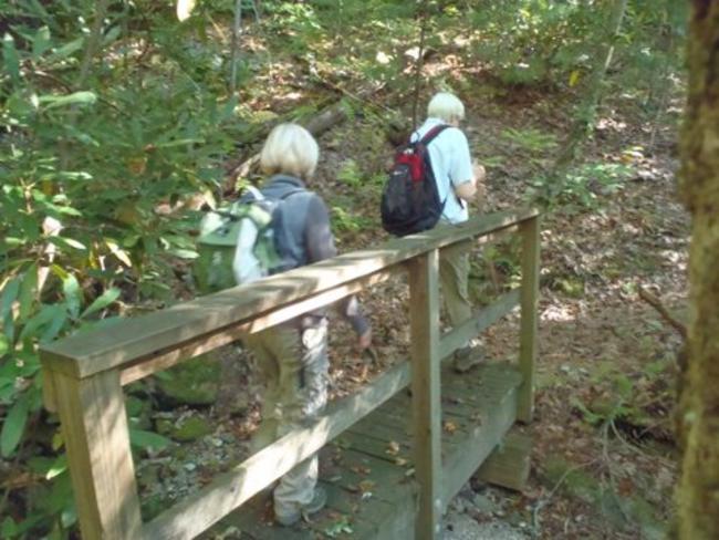 One of 13 foot-bridges.
