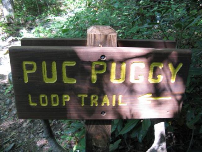 A side trail named PUC PUGGy (The Indians name for William Bartram - meaning the Flower Hunter).