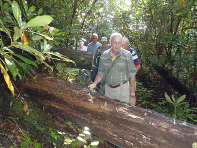 A large tree-fall that we had to go under or over. .