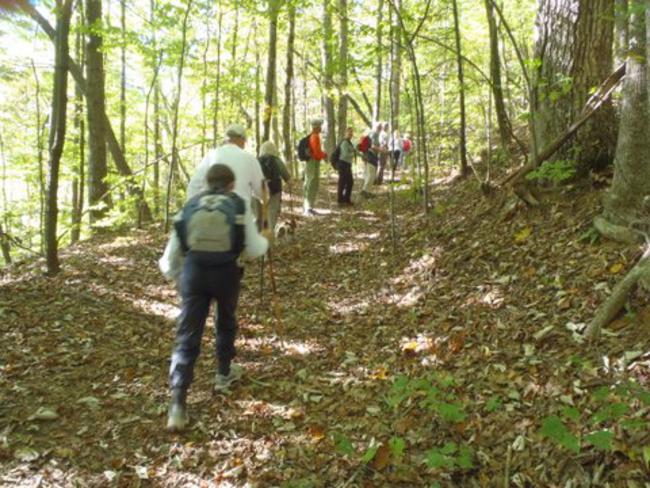 Another great day for a hike on the Bartram Trail!