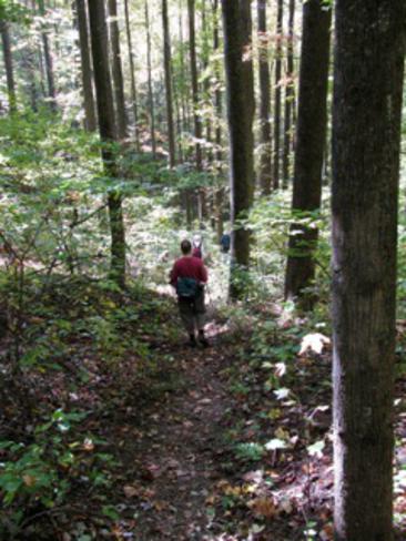 Another great day for a hike on the Smith Creek Trail!