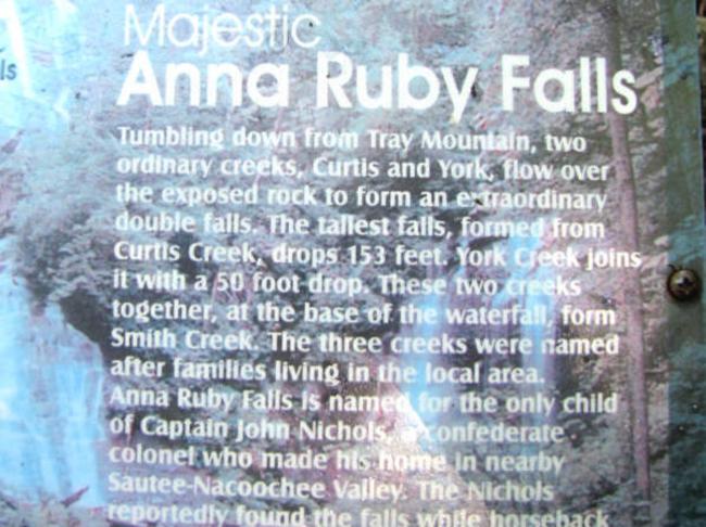 We arrive at Anna Ruby Falls.