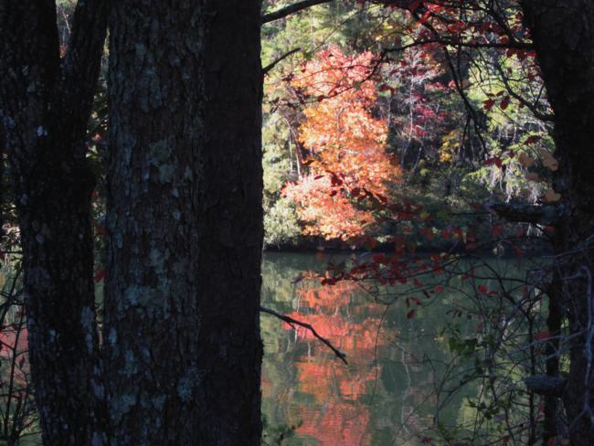 Reflections along Tallulah Falls Lake.