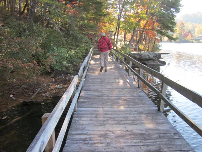 Nice walk along the shoreline of Tallulah Falls Lake.