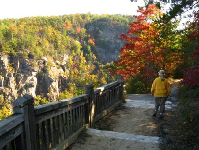 A colorful walk along the South Rim Trail.