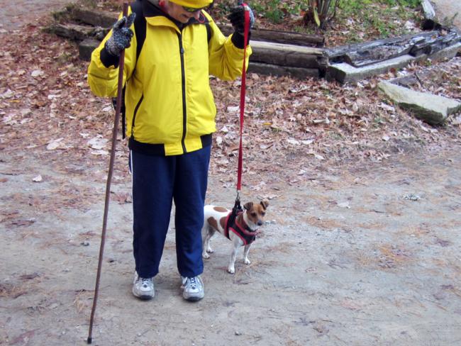 Our trail dog today, "Gabby".