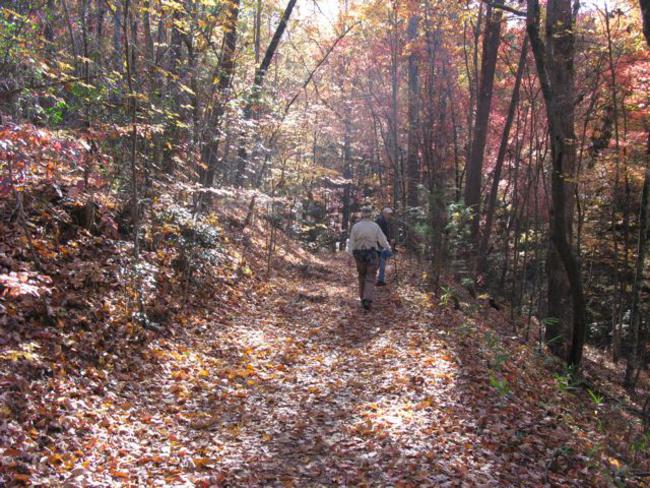A beautiful Autumn day for a hike!