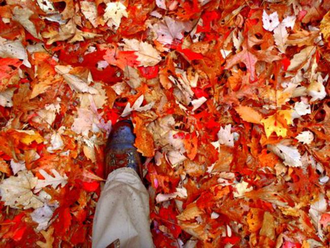 Lots of color under foot!