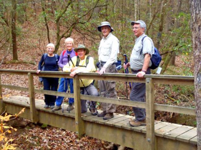 Footbridge near Dicks Creek Falls.