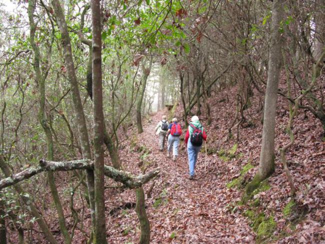 Headed down the Bartram Trail along the Chattooga River.