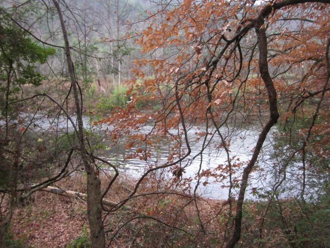 The trail follows the river for a couple of miles..