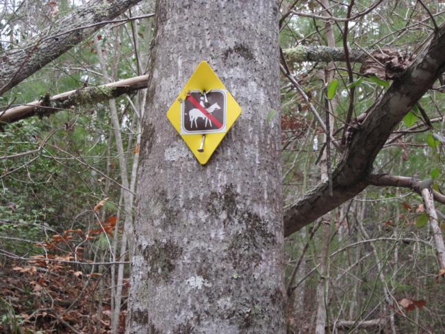 A reminder that the Bartram Trail is not for horseback riding.
