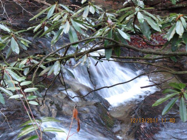 Lots of water alongside the trail.