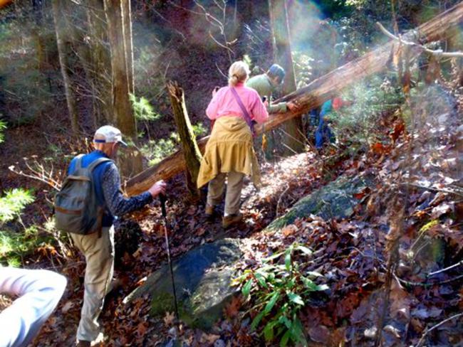 Only one significant tree-fall across the trail.