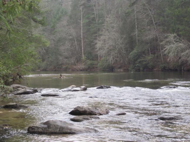 Beautiful spot on the river!