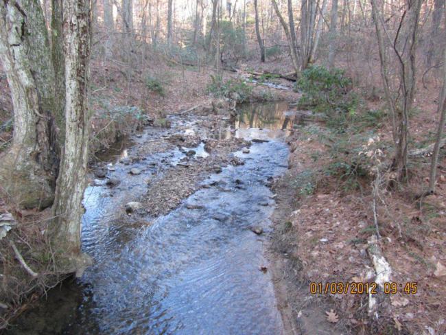 Chilly Nancytown Creek.