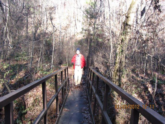 One of the steel foot-bridges on the Sourwood Trail.