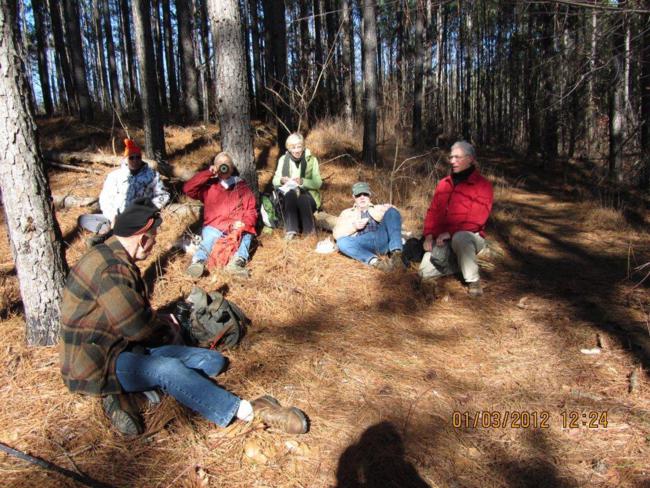 Lunchtime on the pine straw!