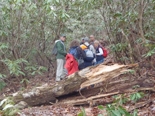 The start of the Courthouse Gap access trail.