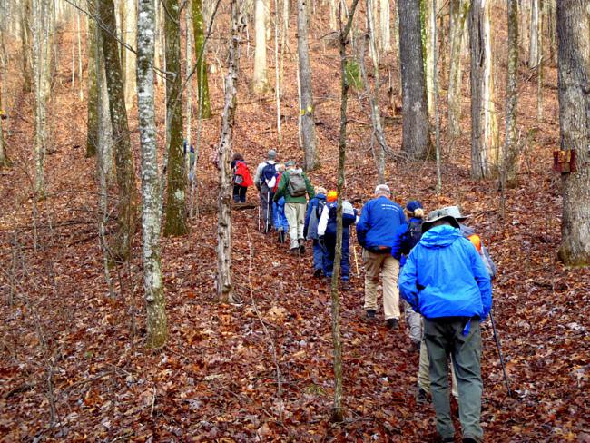 Headed up Hogback Mountain.