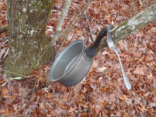 Someone left a frying pan and fork on the tree!