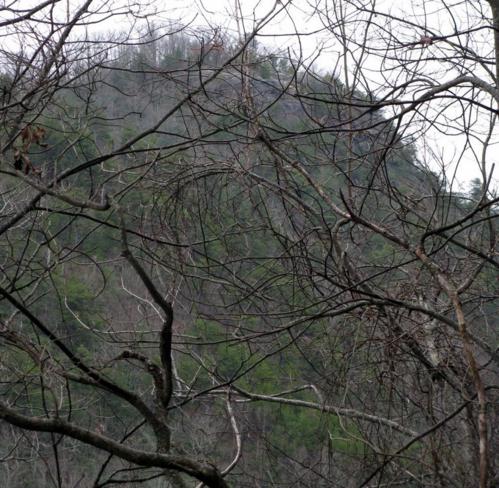 Nice view of Pinnacle Knob.
