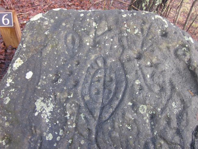 Petroglyphs estimated to be more than 1,000 years old!