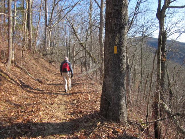 The Bartram Trail has the rectangular yellow trail blazes along the way.