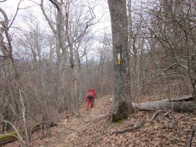 The Appalachian and Bartram share the path until Wayah Bald.
