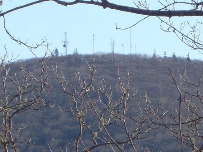 One of our hikers took the short side trail up to Wine Spring Bald which is a slightly higher elevation than Wayah!