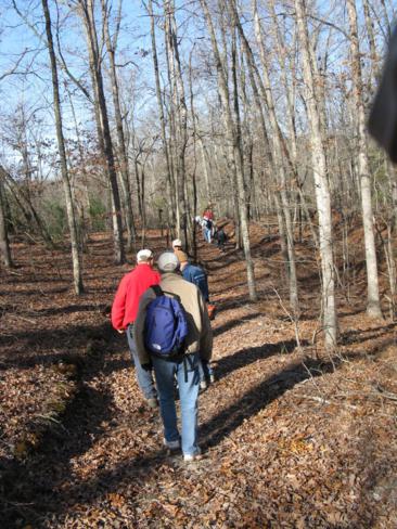 A clear, cool morning for a walk in the woods.