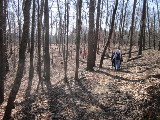 An absolutely perfect day for a hike!