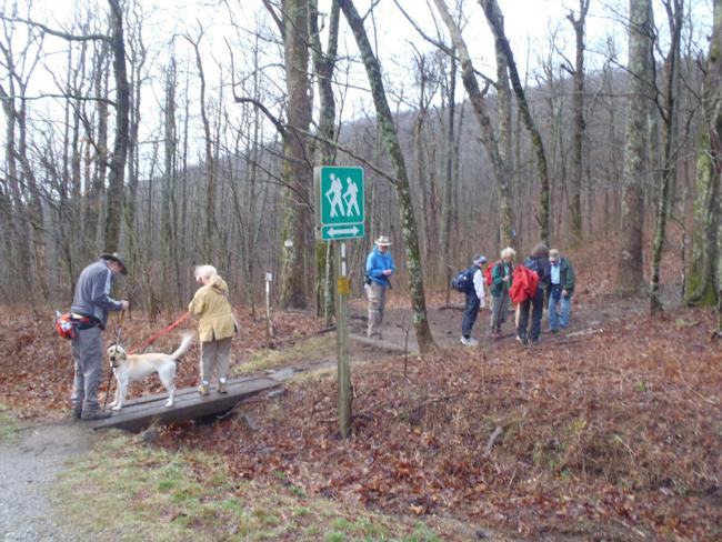After crossing the highway, we start southward toward Tessnatee Gap.