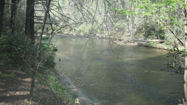 Beautiful views of the Chattooga River all along the trail.